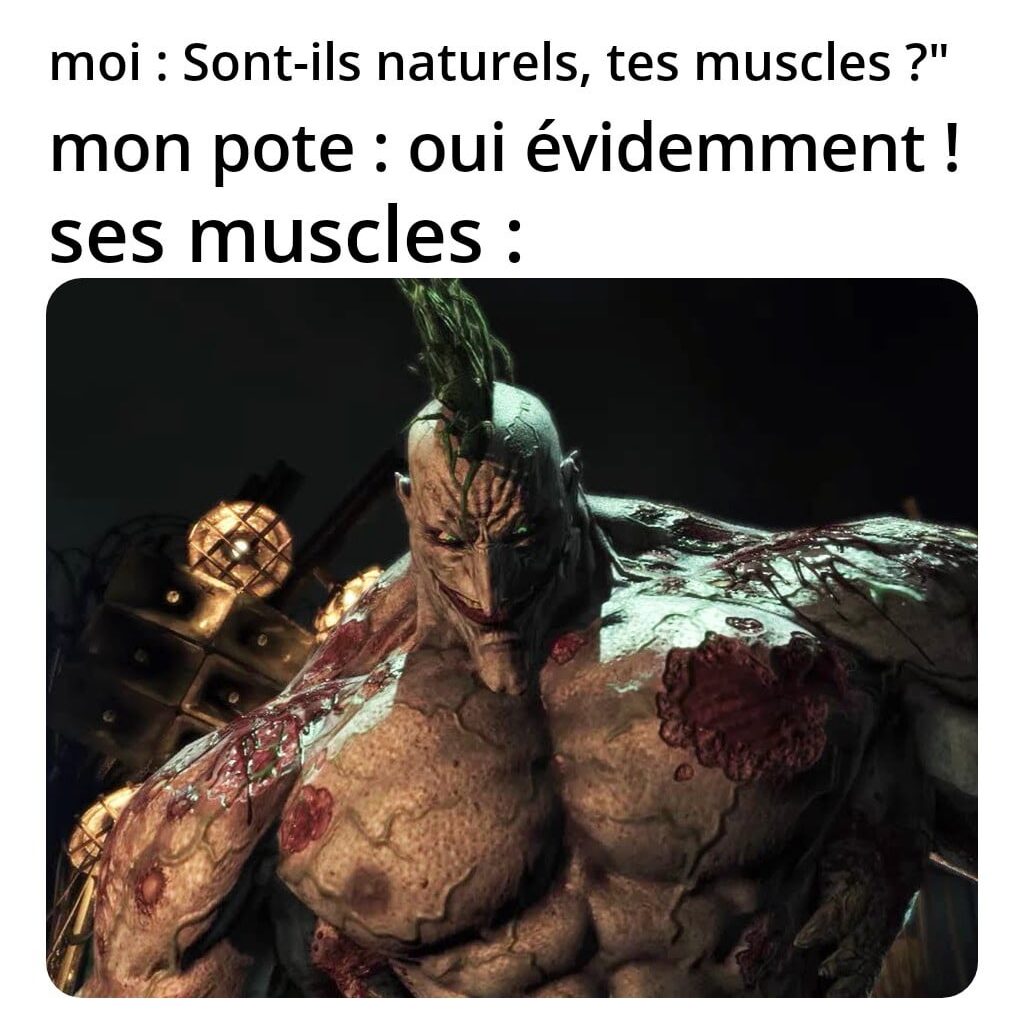 Meme journalier