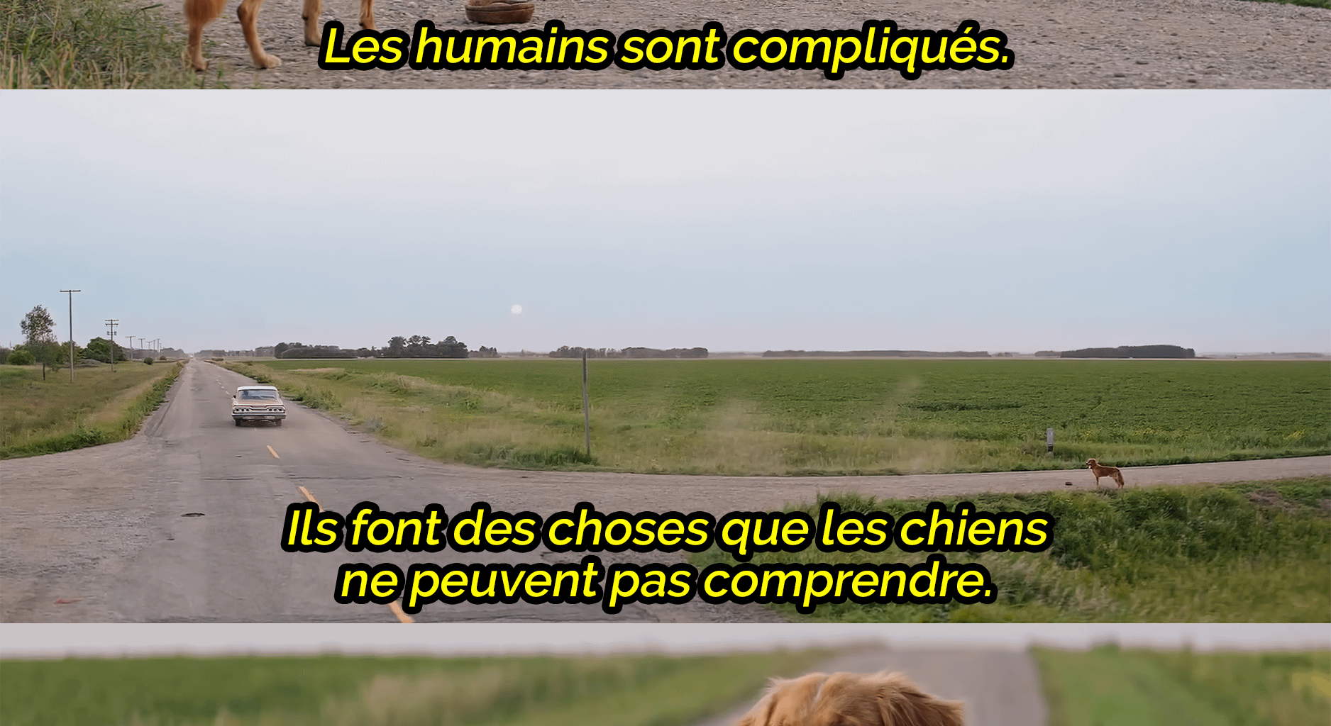 vous êtes bizarres les bourguignons