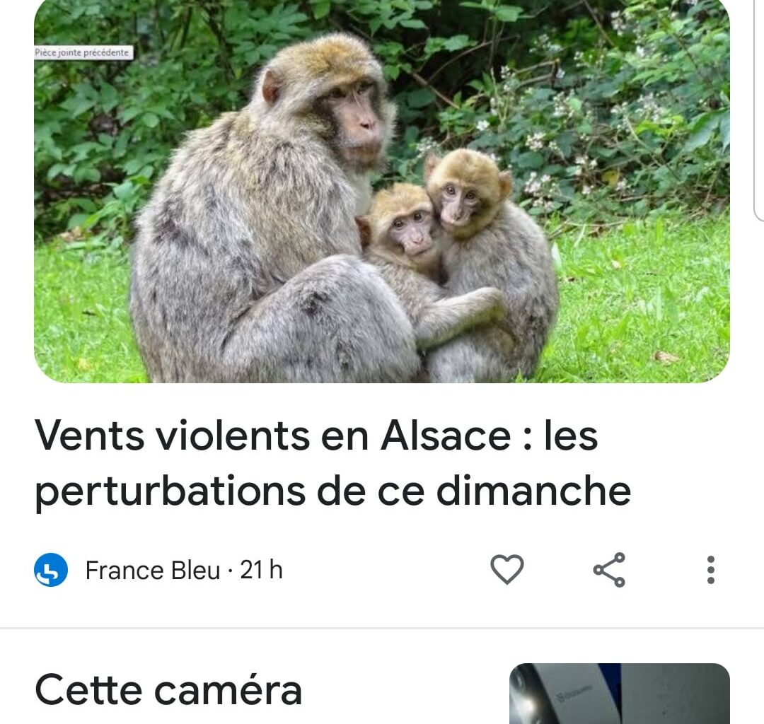 On reconnais bien mon Alsace