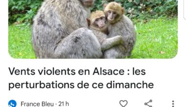 On reconnais bien mon Alsace