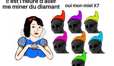 Meme journalier