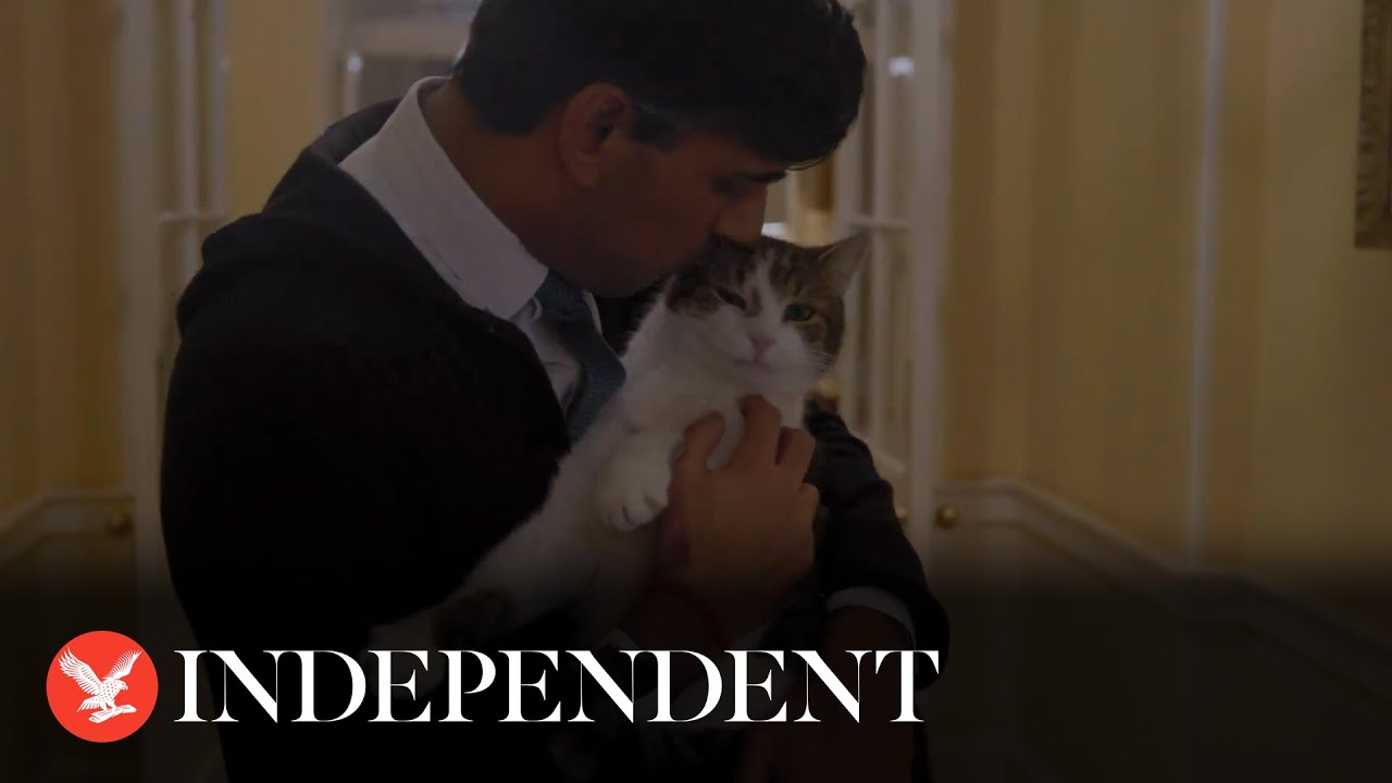 Rishi Sunak shares bizarre Home Alone-inspired video at No 10 featuring Larry the cat