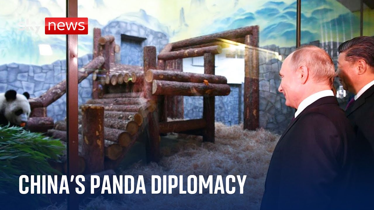 What China's pandas tell us about the country's international relations