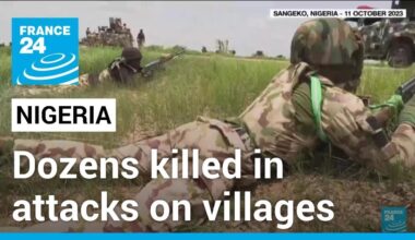 Dozens killed in armed groups attacks on villages in central Nigeria • FRANCE 24 English