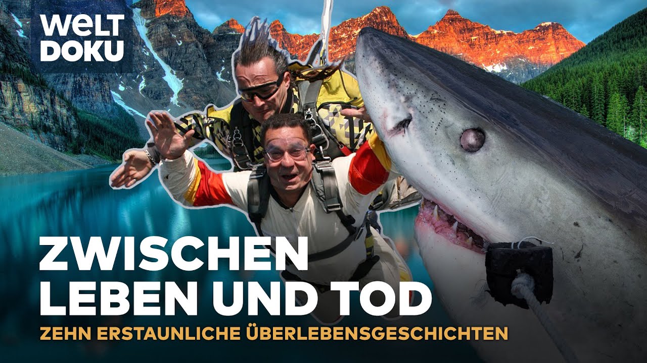PROFI-STUNTMAN: Unglaubliche Überlebensgeschichten inmitten extremer Gefahr | WELT HD Doku
