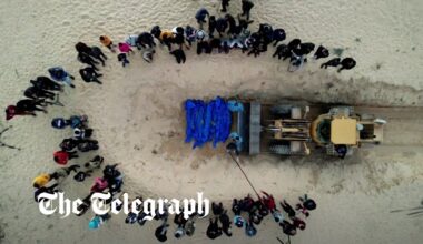 80 Palestinian bodies buried in mass grave in southern Gaza