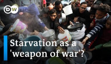 Israel's army chief says Gaza war to last 'many more months' |  DW News