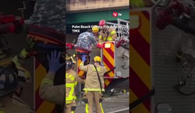 Man rescued from dangling truck cab in Florida #news #shorts