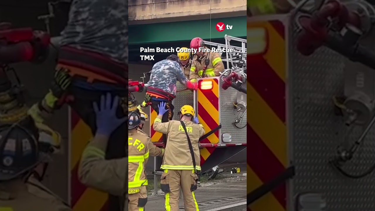 Man rescued from dangling truck cab in Florida #news #shorts