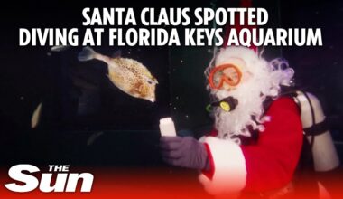 Santa Claus spotted diving at Florida Keys Aquarium
