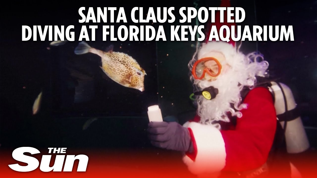 Santa Claus spotted diving at Florida Keys Aquarium