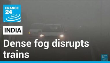 India: Dense fog disrupts flights and trains • FRANCE 24 English