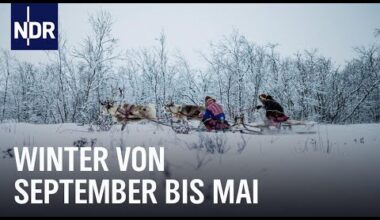 Wintersonne in Nordnorwegen | Ostseereport | NDR