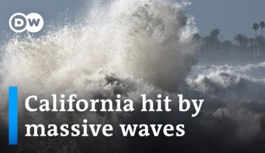 Huge swell batters California coast | DW News