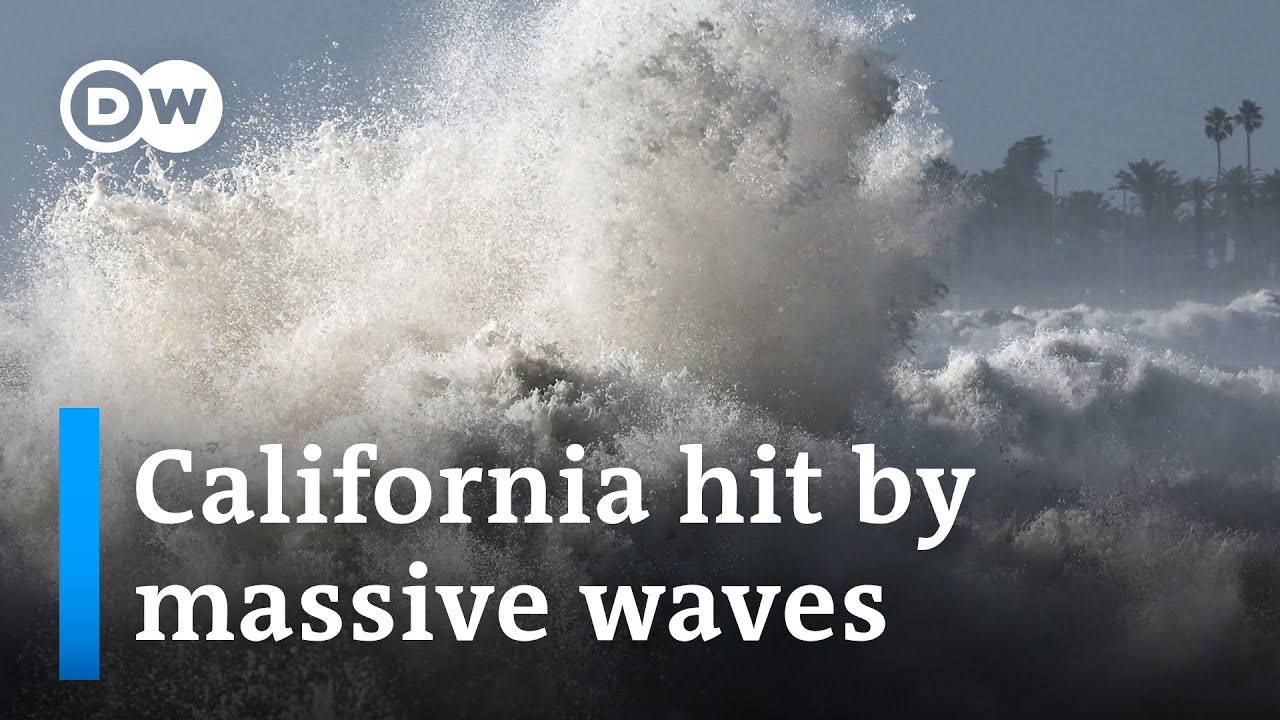 Huge swell batters California coast | DW News