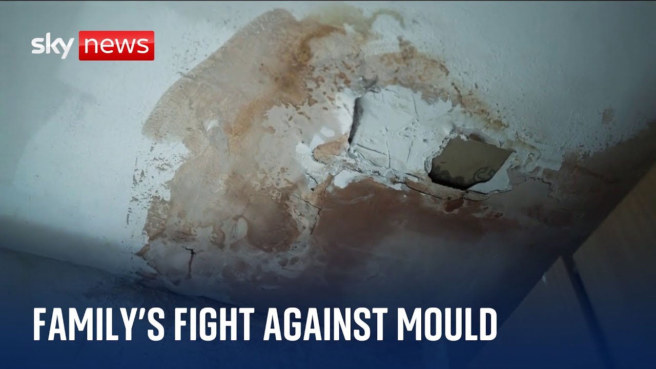 One family's fight against mould: 'It's been so bad'