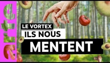 Et pourtant on les croit : les CHARLATANS du web