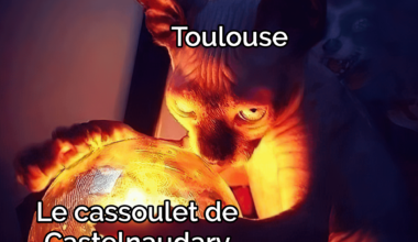 C'est pas le votre, rendez le cassoulet aux abonnés !