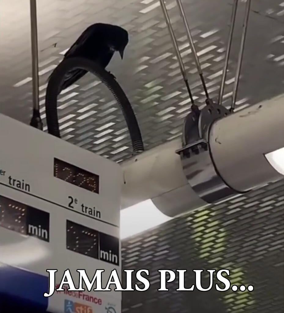 Moment gothique dans le métro...