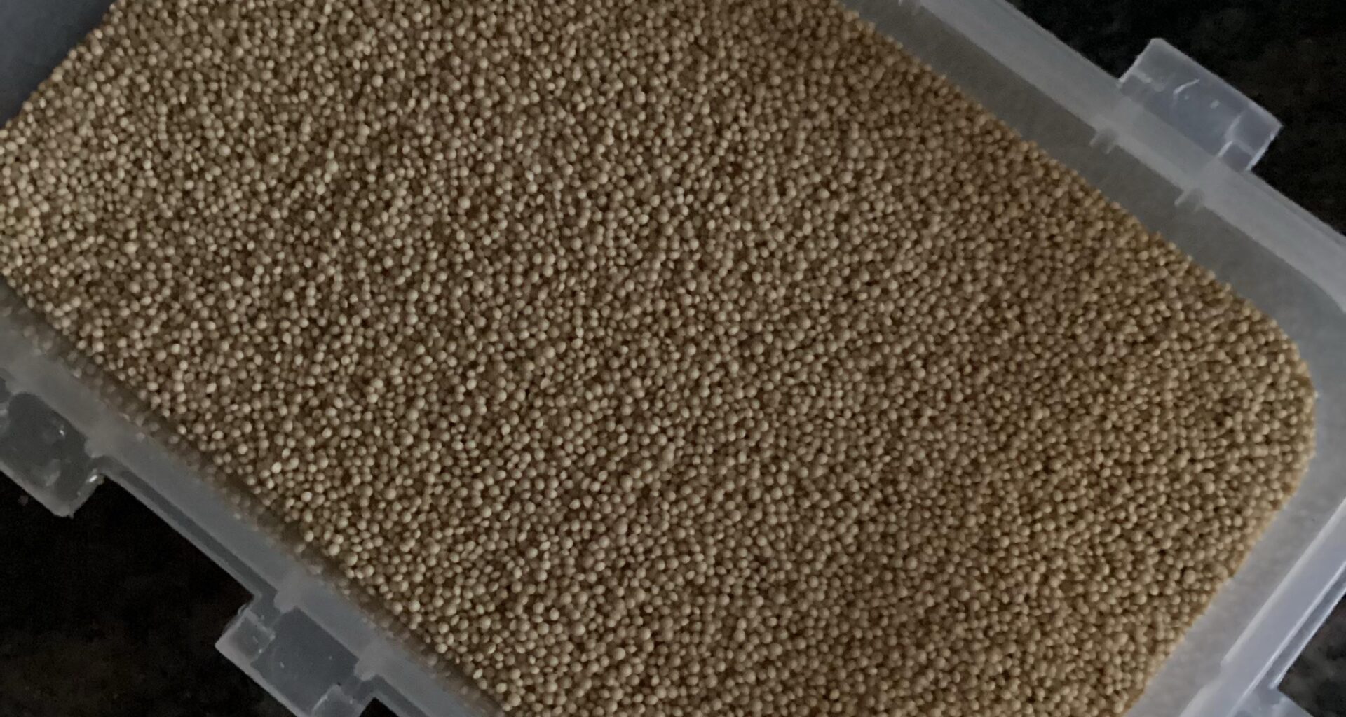 Was ist das? Hallo ihr lieben, ich habe diese Körner vor einiger Zeit in eine tupperbox gefüllt und den Karton weggeworfen. Es ist geruchsneutral. Vermutung Bulgur oder Amaranth. Könnt ihr mir helfen?