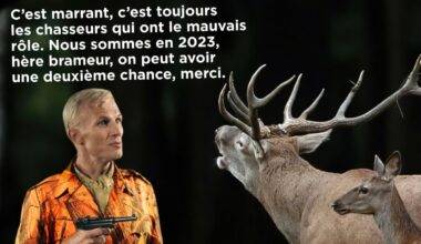 Le Cerf, nid d'espions.