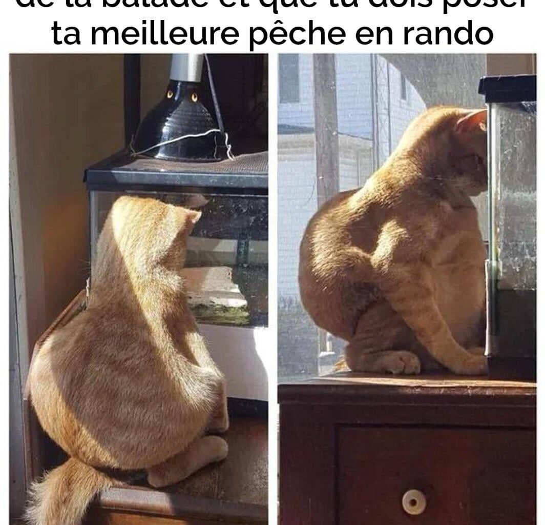 En hiver c’est chaud sans pq