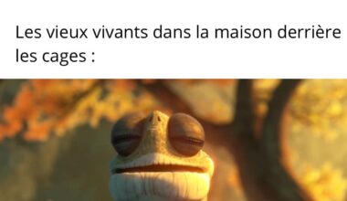 Ça doit faire trente ans que des jeunes rentrent régulièrement dans leur jardin pour récupérer la balle partie trop haute.