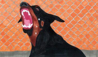 Comment distinguer les moments où débattre apportera quelque chose de ceux où débattre est inutile ?