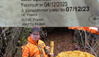 belle prise