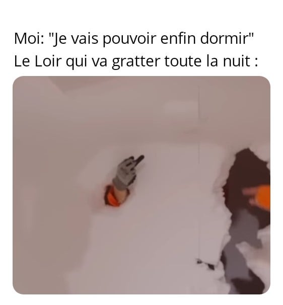 La joie de la campagne