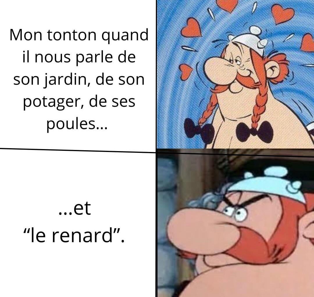 « ce s*al*pard a bouffé toutes les poules du voisin ! »