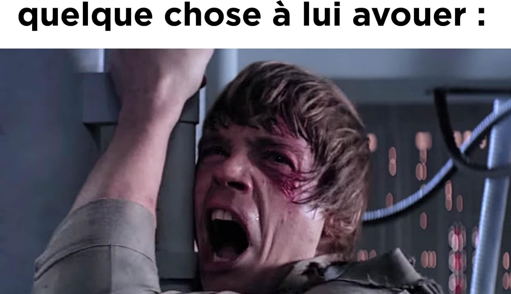 Annequin Skywalker is Berck Vador