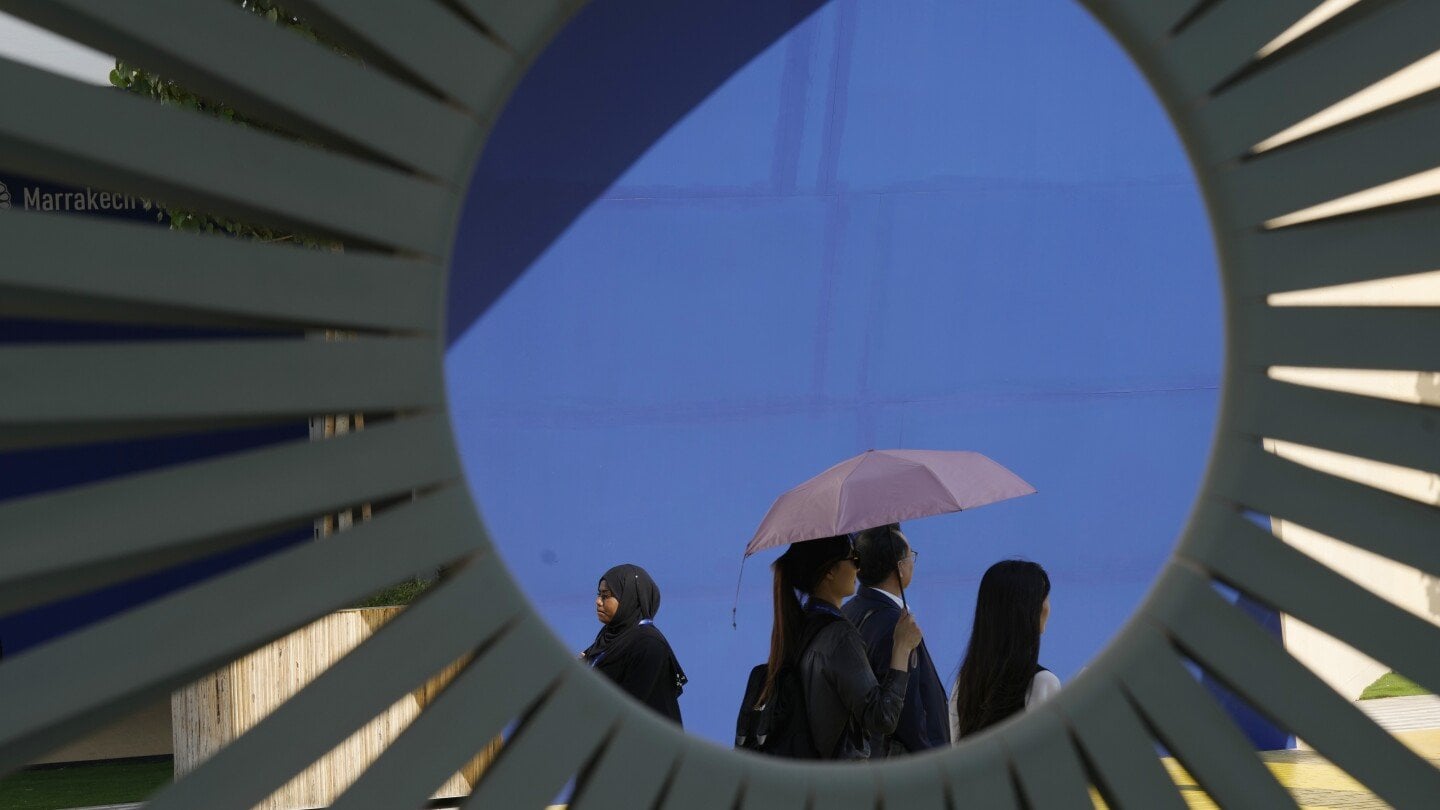 Observers see OPEC 'panicking' as COP28 climate talks focus on possible fossil fuel phase-out