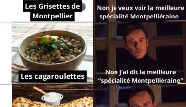 Petite compilation de mèmes sur Montpellier après une semaine de vacances là-bas :