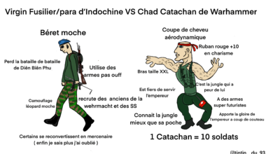 Meme journalier