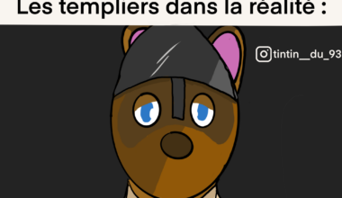 Meme journalier