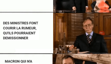 Il n'existe pas de meilleur allégorie que le Maître pour Macron...