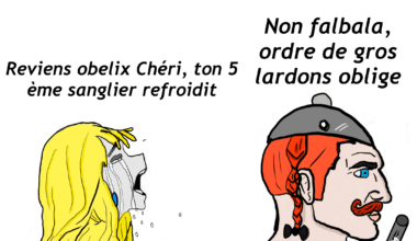 Meme journalier