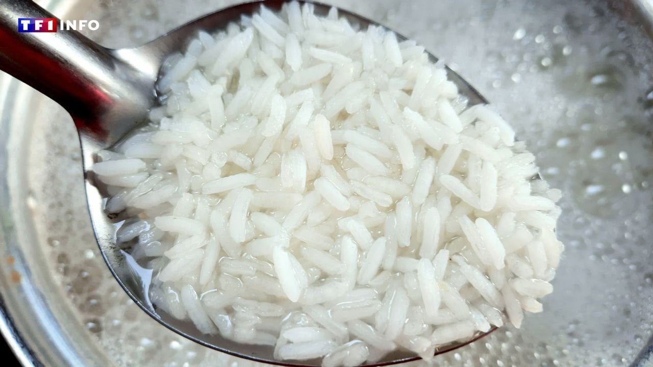Rappel produit : alerte sur la présence de larves dans des paquets de riz basmati vendus chez Leclerc | TF1 INFO