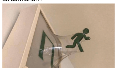 Faut couper les cornichons dans la longueur ptn
