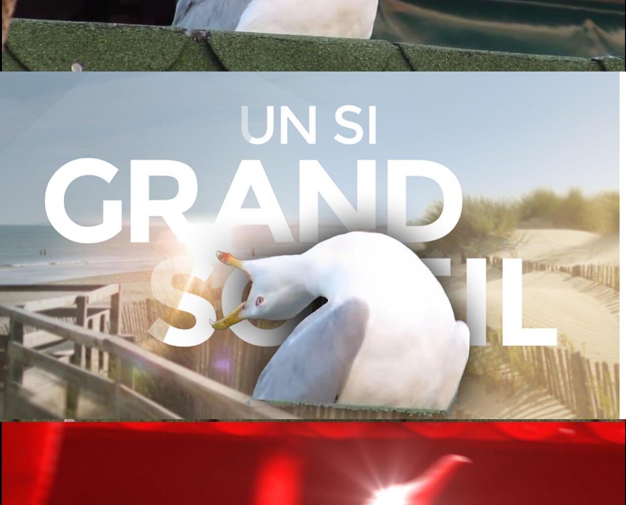 un si grand soleil, quel beau générique
