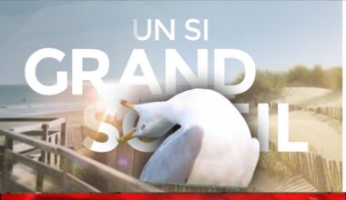 un si grand soleil, quel beau générique