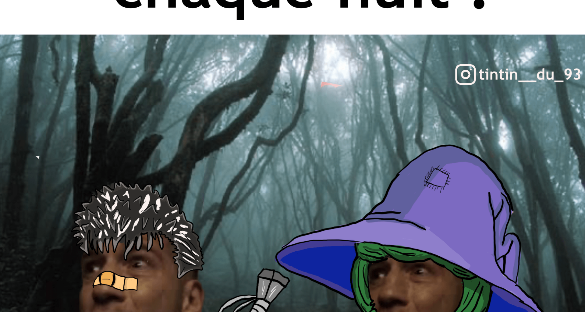 Meme journalier