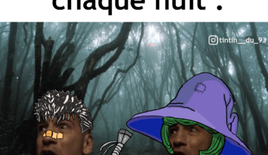 Meme journalier
