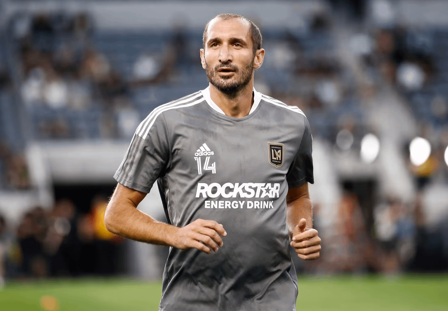 Giorgio Chiellini | I see Juventus in my future. I know i will return but don't know the position yet