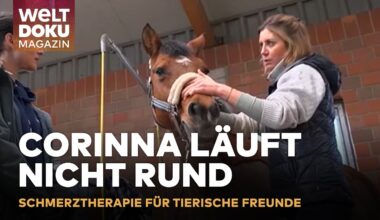 CHIROPRAKTIK & AKUPUNKTUR: Tierärztin revolutioniert alternative Behandlungen | WELT Doku Magazin
