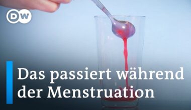 Menstruation: Was im Körper passiert, wenn es blutet | Sex & the Body 3/4