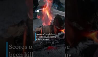 After powerful earthquake: Japan grapples with devastation and rising death toll | DW Shorts