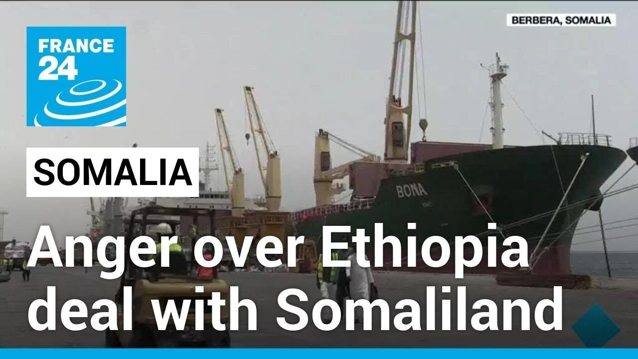 Somalia vows to defend sovereignty after Ethiopia-Somaliland deal • FRANCE 24 English