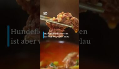 Kein Hundefleisch mehr in Südkorea | DW News